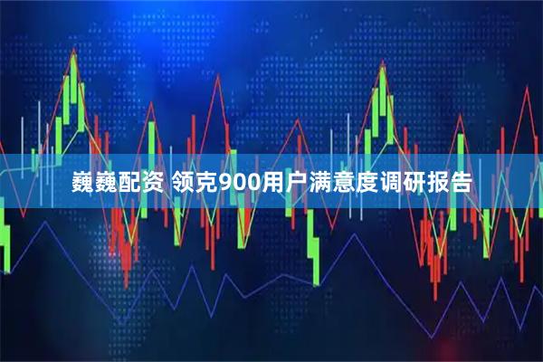 巍巍配资 领克900用户满意度调研报告